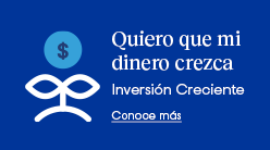 Tarjeta de Crédito Básica